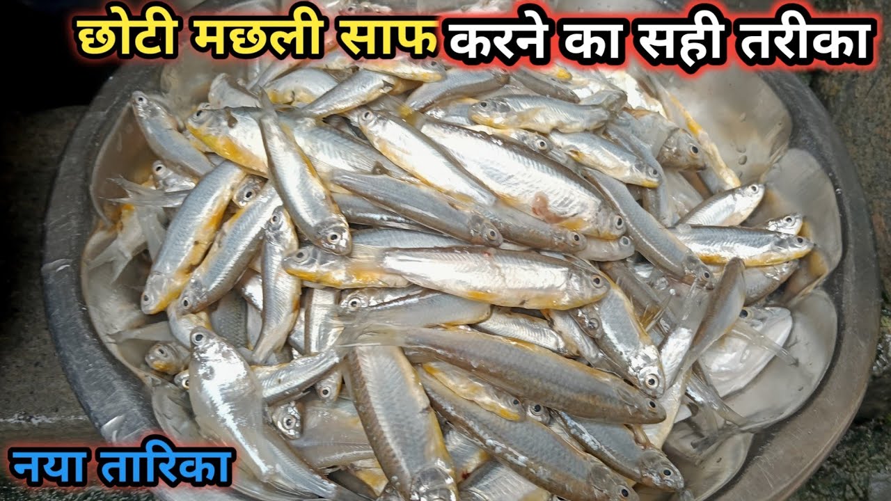 छोटी मछली बनाने का सही तरीका |®choti machhali banane ka tarika | small ...