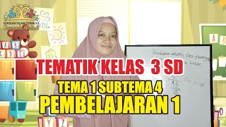 Video pembelajaran tematik kelas 3 sd ...