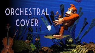 Donkey Kong Country - Aquatic Ambience | Orchestral Cover
Orchestral Cover: Written and Orchestrated by JJ Molyneux
https://soundcloud.com/joshuamolyneux
Original Piece and Melodies: Written by David Wise
Software used;
-FL Studio
-East West Composer Cloud Donkey Kong Country - Aquatic Ambience | Orchestral Cover
