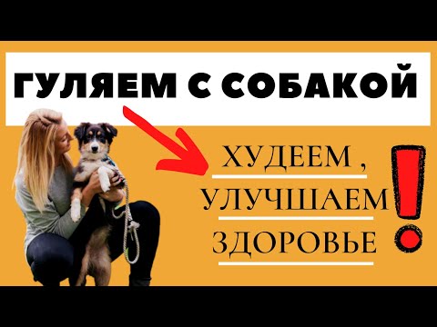 Как похудеть и стать здоровее, гуляя с собакой? Советы.