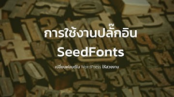 เทคนิคการเปลี่ยนฟอนต์ใน WordPress ด้วย Plugin Seed Fonts - By WebWithWP.com