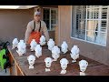 HOW TO CLEAN SKULLS ( EASY EUROPEAN METHOD ) HOW TO CLEAN SKULLS ( EASY EUROPEAN METHOD )