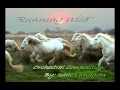 Running Wild - Orchestral Composition - Isaac Lundgren