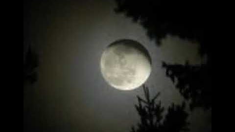 الشيخ عادل الكلباني قراءة خاشعة مبكية من سورة يوسف