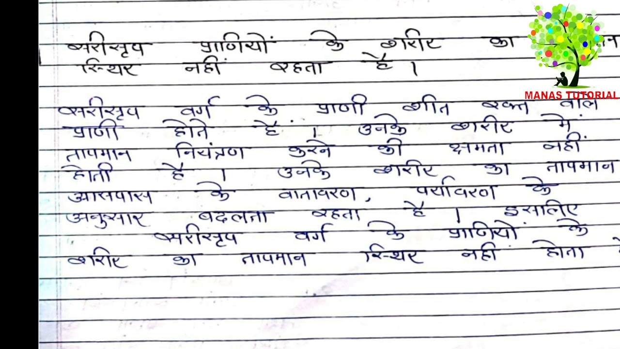 Navneet Sample Paper Part I YouTube