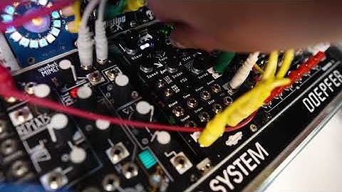 Mystacinidae  - Desmodus Versio, Moog Subharmonicon, Strymon Magneto, Live Modular Synth Electronic