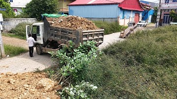 First Start Landfill Task! Nicely Skill Dozer Driver Push Soils With Dump Trucks Team Work