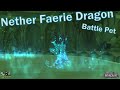 Nether faerie dragon location and abilities  world of warcraft battle pet guide  ep 108