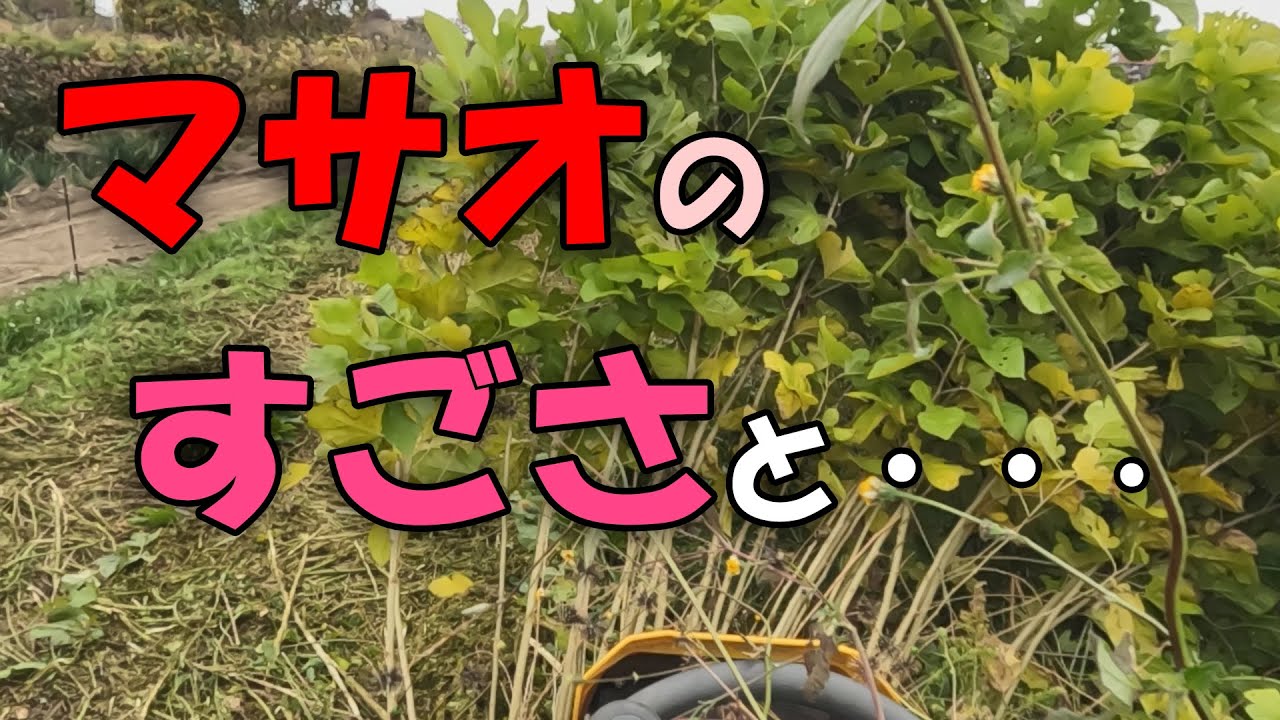 【Hey MASAO】マサオのすごさと・・・ - YouTube Music
