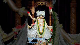 Jay Shri Krishna Chaitanya Prabhu Nityananda Shri Aditya gadadhar Shiva Aadi Gaur bhakton bindo Thumb
