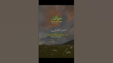 سورة الليل اللهم اجعل القرآن الكريم ربيع قلوبنا ونور صدورنا #القران #دويتو #اكسبلور