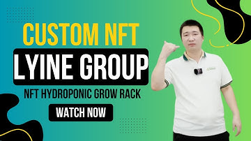 Custom NFT Hydroponic Systems by Lyine | Your Turnkey Vertical Farming Solution