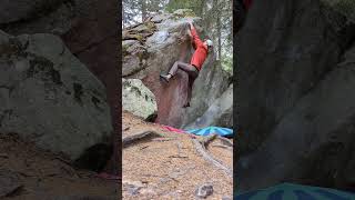 Angelina Jolie (6c) Magic Wood screenshot 1