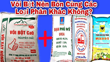 Có Nên Bón VÔI BỘT Kết Hợp Với Phân LÂN, NPK, ĐẠM, KALI Cho Cây Cam, Bưởi Không?