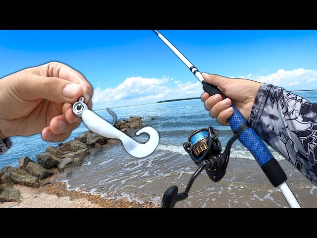 Fishing a JIG from the BEACH.. and I Caught THIS!! (Saltwater Fishing) 