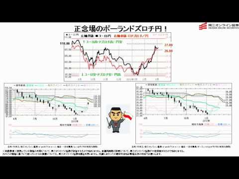 【日替わり武部】正念場のポーランドズロチ円！