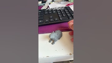 CAPYBARA #3dprinting #capybara
