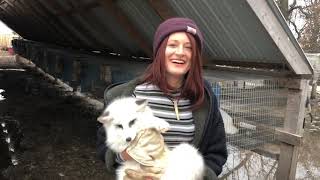 20 Foxes Saved From Fur Farm - Saveafox Rescue