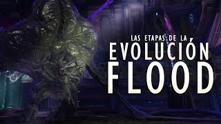 Halo | Las ETAPAS de EVOLUCIÓN del FLOOD