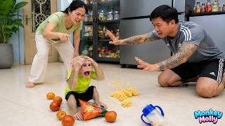 Monkey Molly accidentally messes everything up for Mom, and Dad has to step in to keep the peace