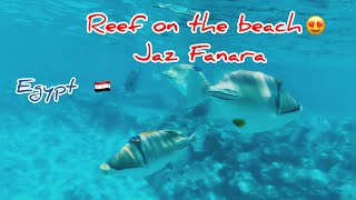 ЭТОТ РИФ НАДО УВИДЕТЬ ‼️Египет🇪🇬 JAZ FANARA RESORT 🐠 Шарм-эль-Шейх 2024 Coral and fish 😍