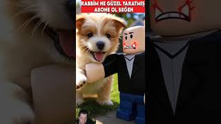 YAVRU KÖPEKCİK ROBLOXLARLA OYUNYOR