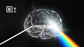 How do elite performers automate their habits? | Wendy Wood