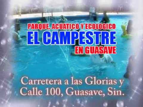 El Campestre en Guasave Sin. - YouTube