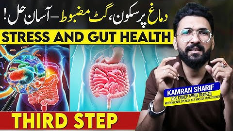Cortisol / Stress Hormone Effects On ( Gut Second Brain ) And Mental Health By Kamran Sharif