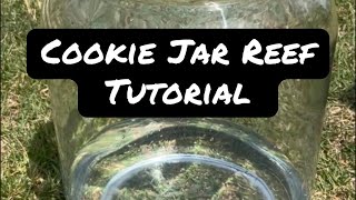 Cookie Jar Reef Tutorial 