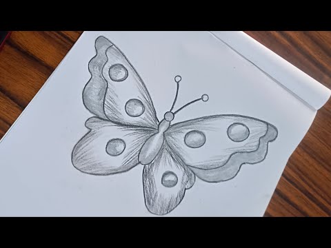 كيفية رسم فراشة بالقلم الرصاص تعليم الرسم رسم سهل للمبتدئين