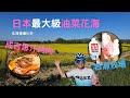 札幌近郊一日遊|日本最大級油菜花海|松尾北海道總店|岩瀨牧場|滝川市