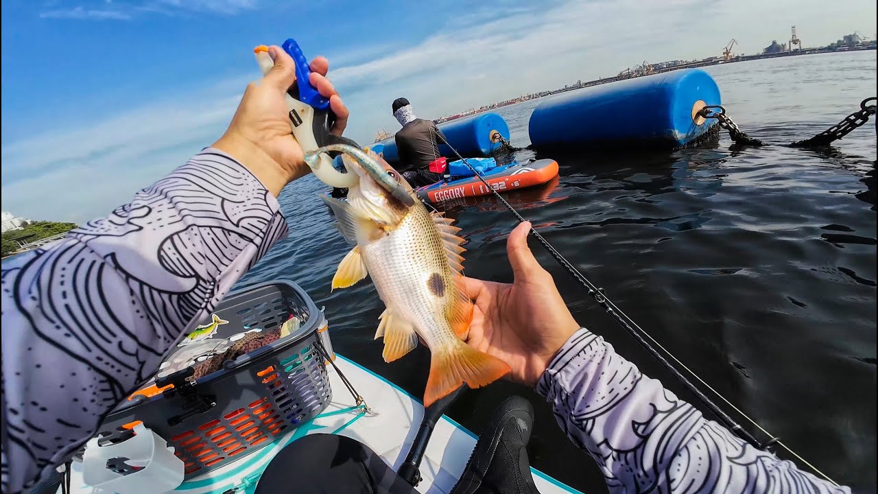 EP 10 Punggol Beach Singapore ISUP Fishing!
