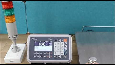 Apollo Series Weighing & Piece Counting Scales