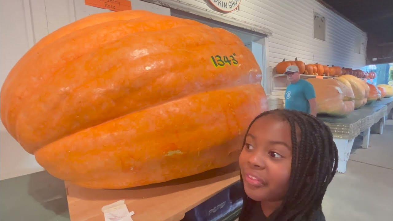 Canfield Fair 2023 YouTube