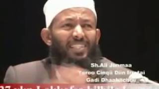 Sheik Ali Jimmaa  Yeroo Cinqii Diin Irratti Gadi Dhaabachuu