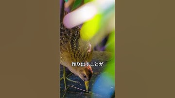 1分生成AIニュース　2025年6月20日 #生成ai #chatgpt #最新情報 #生成AIニュース