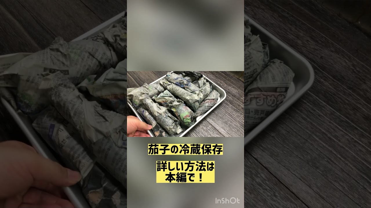 茄子の冷蔵保存#shorts #なす #保存
