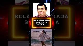 Kola Kada Kada Boruwata Denawa I Sinhala Sindu I Sinhala Songs