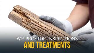 Pest Control North Brisbane | Conquest Pest & Termite Control