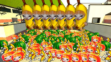 Frut Invasion Again! Banana, Banana Cat, Apple Cat, Watermelon Nextbot Gmod