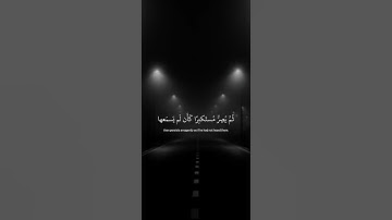 اكتب شيء تؤجر عليه 😴💚 قرآن كريم | ياسر الدوسري