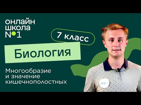 Многообразие и значение кишечнополостных. Видеоурок 8. Биология 7 класс