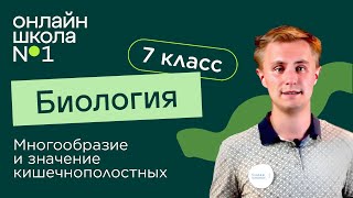 Многообразие и значение кишечнополостных. Видеоурок 8. Биология 7 класс