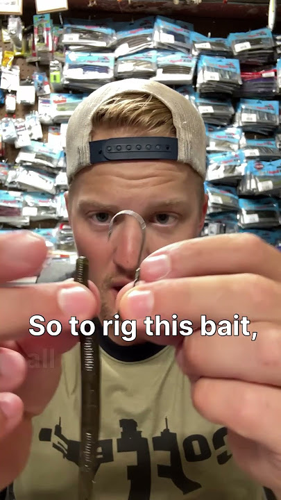 The BEST Summer Time Bass Fishing Bait!