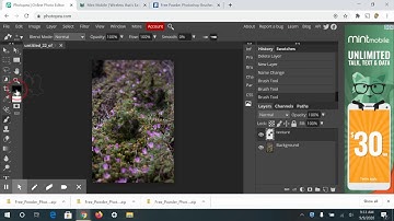 How to download, install and use texture brushes in Photopea