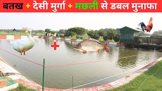 ऎसा शानदार फार्म अपने नहीं देखा होगा I Duck farming + fish farming +Desi poultry farm