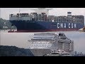 HAMBURG Shipspotting 2019 with MSC Preziosa and Ultra Large Container Ship