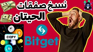 إستراتيجية ربح ما يفوق 100 دولار يوميا من نسخ صفقات التداول/ شرح خاصية Copy Trading/ Bitget