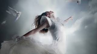 Opus Amour infini